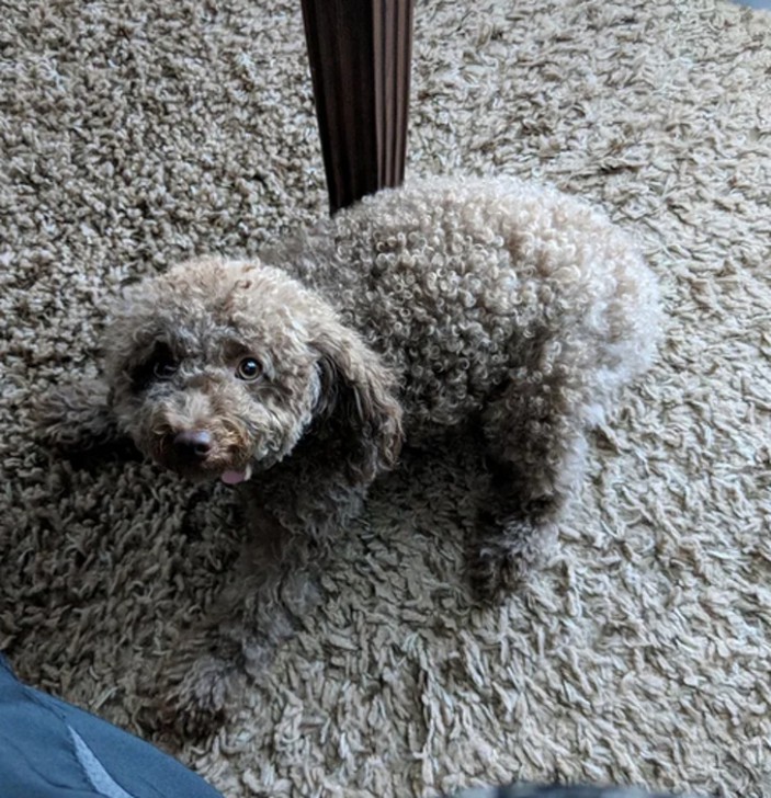 รวม 20 ภาพการพรางตัวของสัตว์ ที่เนียนจนมนุษย์หาไม่เจอ