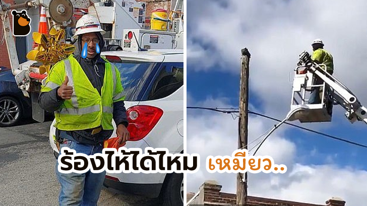 ดราม่าหนักมาก เมื่อฮีโร่ที่ใช้รถกระเช้าช่วยแมวลงมาจากเสาไฟ กลับต้องโดนพักงาน..