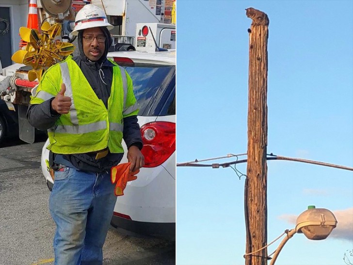 ดราม่าหนักมาก เมื่อฮีโร่ที่ใช้รถกระเช้าช่วยแมวลงมาจากเสาไฟ กลับต้องโดนพักงาน..