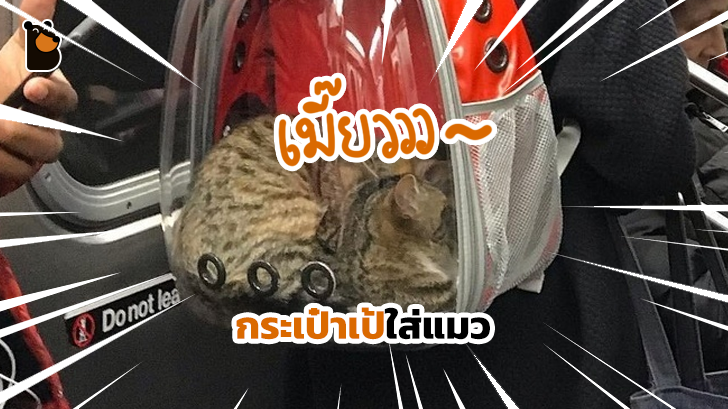 23 ไอเดียการออกแบบสุดเจ๋ง ที่เปลี่ยนจากสิ่งของธรรมดาๆ ให้กลายเป็นไอเทมสุดว้าว