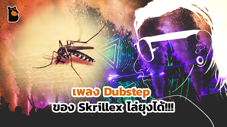 สุดทึ่งเมื่อดนตรี Dubstep ของ Skrillex ใช้ไล่ยุงได้... วั๊บ วั๊บ วั๊บ วั๊บ ว้าวววววว กันเลยไหมหล่ะ