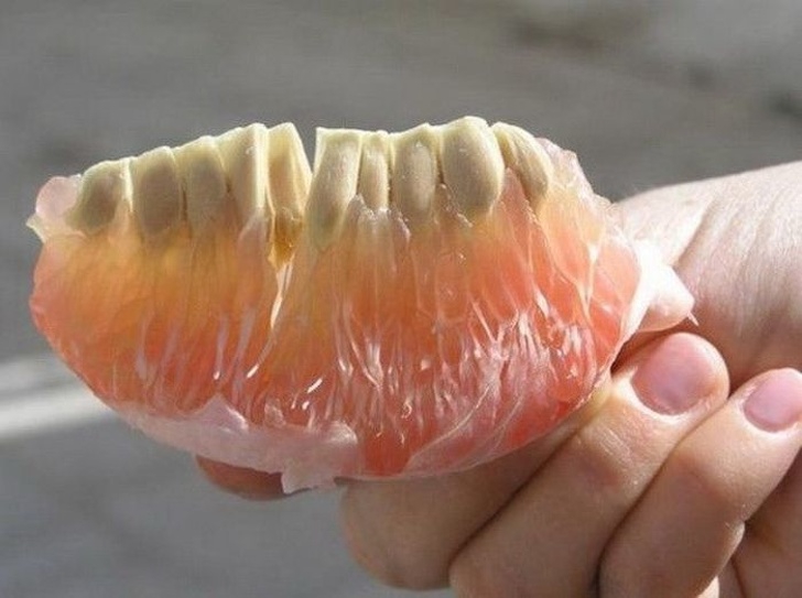 รวม 29 ภาพที่ดูครั้งแรกก็เกือบจะเข้าใจผิด รวม 29 ภาพที่ดูครั้งแรกก็เกือบจะเข้าใจผิด