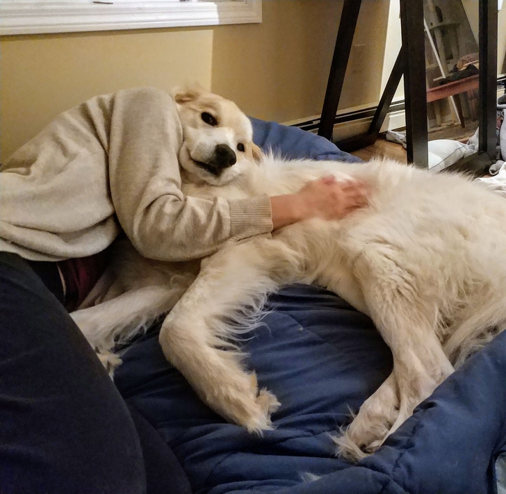 รวม 29 ภาพที่ดูครั้งแรกก็เกือบจะเข้าใจผิด รวม 29 ภาพที่ดูครั้งแรกก็เกือบจะเข้าใจผิด