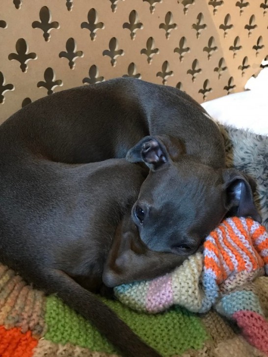  รวม 29 ภาพที่ดูครั้งแรกก็เกือบจะเข้าใจผิด