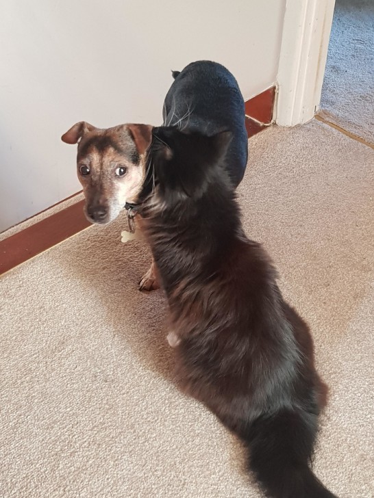  รวม 29 ภาพที่ดูครั้งแรกก็เกือบจะเข้าใจผิด