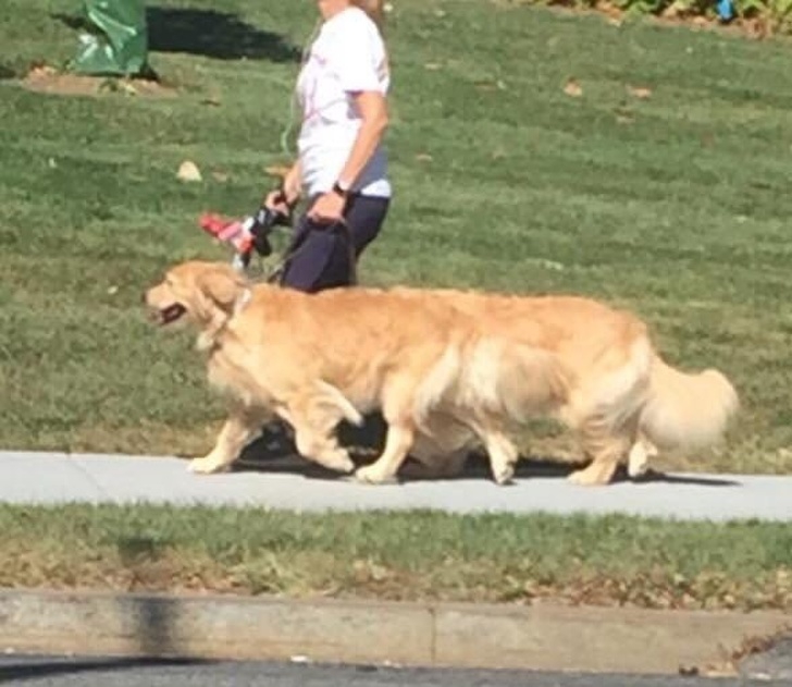 รวม 29 ภาพที่ดูครั้งแรกก็เกือบจะเข้าใจผิด รวม 29 ภาพที่ดูครั้งแรกก็เกือบจะเข้าใจผิด