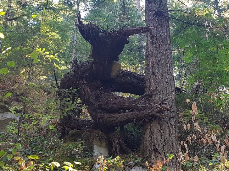 รวม 29 ภาพที่ดูครั้งแรกก็เกือบจะเข้าใจผิด รวม 29 ภาพที่ดูครั้งแรกก็เกือบจะเข้าใจผิด