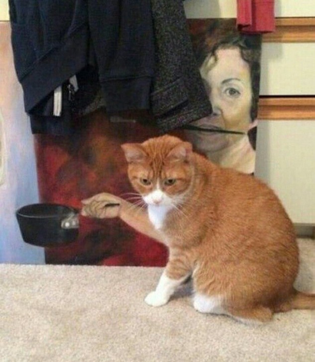  รวม 29 ภาพที่ดูครั้งแรกก็เกือบจะเข้าใจผิด