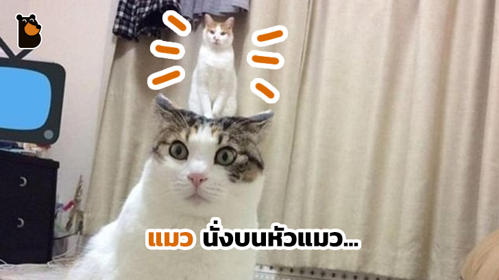 รวม 29 ภาพที่ดูครั้งแรกก็เกือบจะเข้าใจผิด แต่ดูดีๆ ก็จะรู้ว่าเป็นภาพลวงตาที่เจ๋งสุดๆ ไปเลย