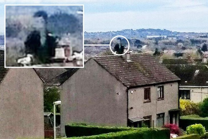 เอลวิส เพรสลีย์ ราชาเพลงร็อกแอนด์โรลล์ อาจยังไม่ตาย! และตอนนี้กลายเป็นลุงวัย 82