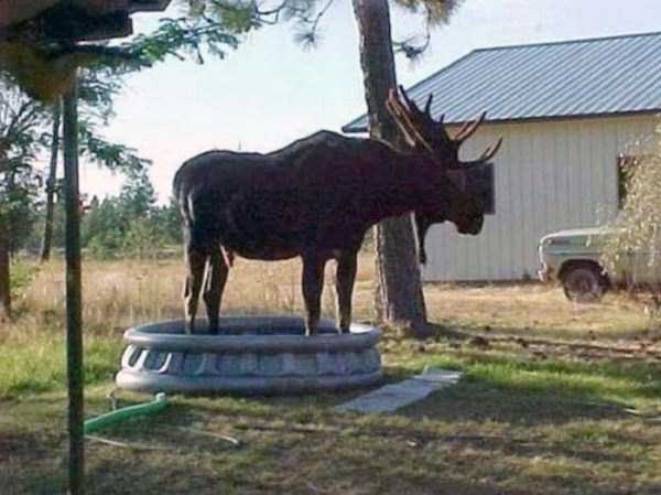 นี่มันหน้าร้อน หรือซ้อมตกนรก! กับ 26 ภาพที่ไม่น่าเชื่อว่าอากาศร้อนจะโหดร้ายถึงเพียงนี้