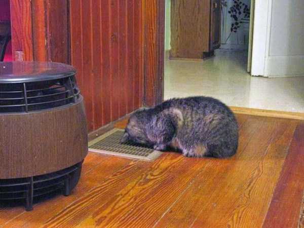 นี่มันหน้าร้อน หรือซ้อมตกนรก! กับ 26 ภาพที่ไม่น่าเชื่อว่าอากาศร้อนจะโหดร้ายถึงเพียงนี้