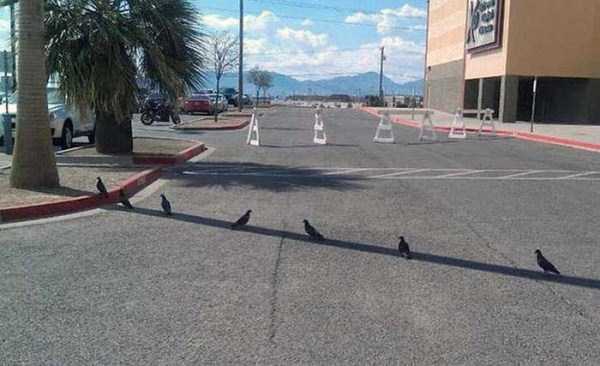 นี่มันหน้าร้อน หรือซ้อมตกนรก! กับ 26 ภาพที่ไม่น่าเชื่อว่าอากาศร้อนจะโหดร้ายถึงเพียงนี้