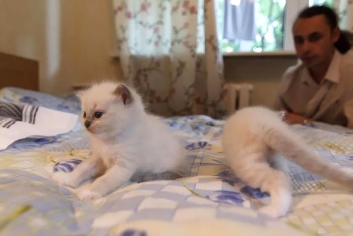 30 ภาพถ่ายในโหมดพาโนรามาที่ผิดพลาด จนทำให้เกิดความฮาอย่างไม่น่าให้อภัย 30 ภาพถ่ายในโหมดพาโนรามาที่ผิดพลาด จนทำให้เกิดความฮาอย่างไม่น่าให้อภัย