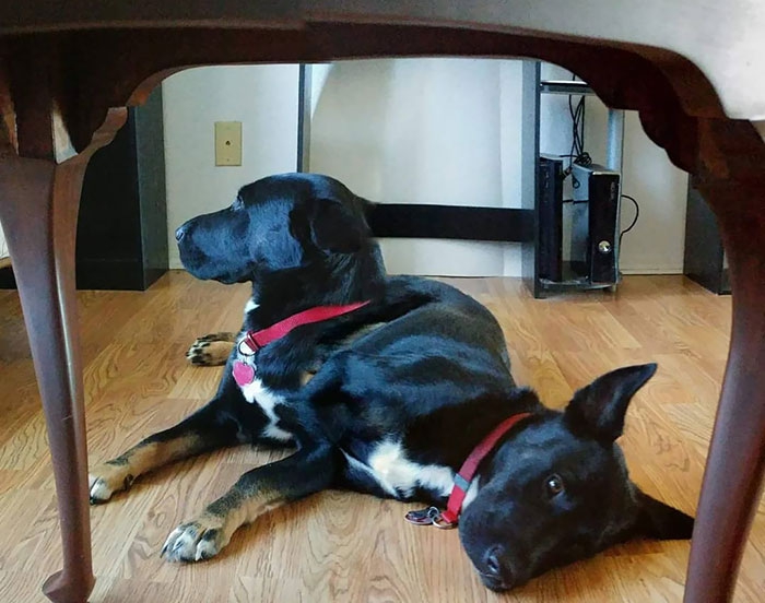 30 ภาพถ่ายในโหมดพาโนรามาที่ผิดพลาด จนทำให้เกิดความฮาอย่างไม่น่าให้อภัย 30 ภาพถ่ายในโหมดพาโนรามาที่ผิดพลาด จนทำให้เกิดความฮาอย่างไม่น่าให้อภัย