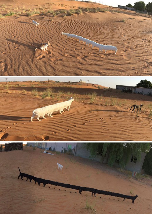 30 ภาพถ่ายในโหมดพาโนรามาที่ผิดพลาด จนทำให้เกิดความฮาอย่างไม่น่าให้อภัย