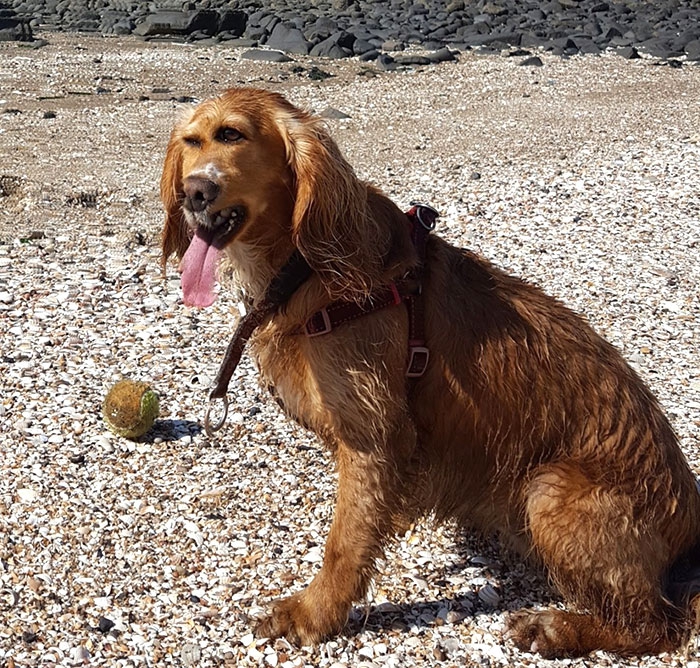 30 ภาพถ่ายในโหมดพาโนรามาที่ผิดพลาด จนทำให้เกิดความฮาอย่างไม่น่าให้อภัย 30 ภาพถ่ายในโหมดพาโนรามาที่ผิดพลาด จนทำให้เกิดความฮาอย่างไม่น่าให้อภัย