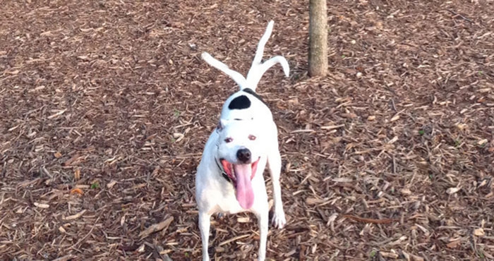 30 ภาพถ่ายในโหมดพาโนรามาที่ผิดพลาด จนทำให้เกิดความฮาอย่างไม่น่าให้อภัย 30 ภาพถ่ายในโหมดพาโนรามาที่ผิดพลาด จนทำให้เกิดความฮาอย่างไม่น่าให้อภัย