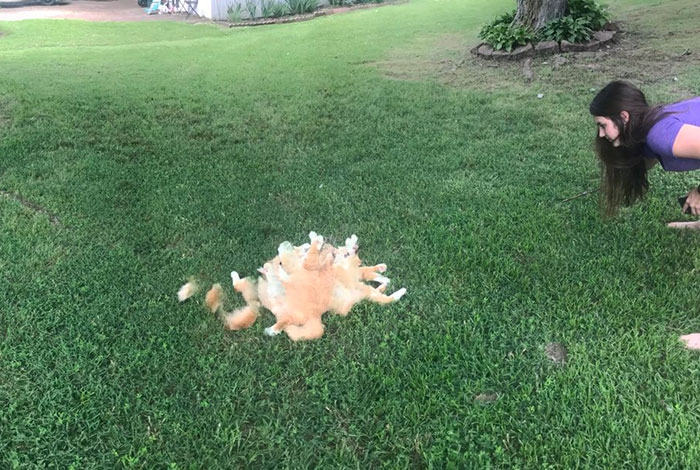 30 ภาพถ่ายในโหมดพาโนรามาที่ผิดพลาด จนทำให้เกิดความฮาอย่างไม่น่าให้อภัย 30 ภาพถ่ายในโหมดพาโนรามาที่ผิดพลาด จนทำให้เกิดความฮาอย่างไม่น่าให้อภัย