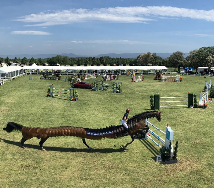 30 ภาพถ่ายในโหมดพาโนรามาที่ผิดพลาด จนทำให้เกิดความฮาอย่างไม่น่าให้อภัย 30 ภาพถ่ายในโหมดพาโนรามาที่ผิดพลาด จนทำให้เกิดความฮาอย่างไม่น่าให้อภัย