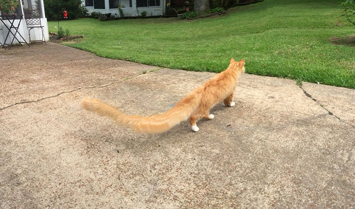 30 ภาพถ่ายในโหมดพาโนรามาที่ผิดพลาด จนทำให้เกิดความฮาอย่างไม่น่าให้อภัย 30 ภาพถ่ายในโหมดพาโนรามาที่ผิดพลาด จนทำให้เกิดความฮาอย่างไม่น่าให้อภัย