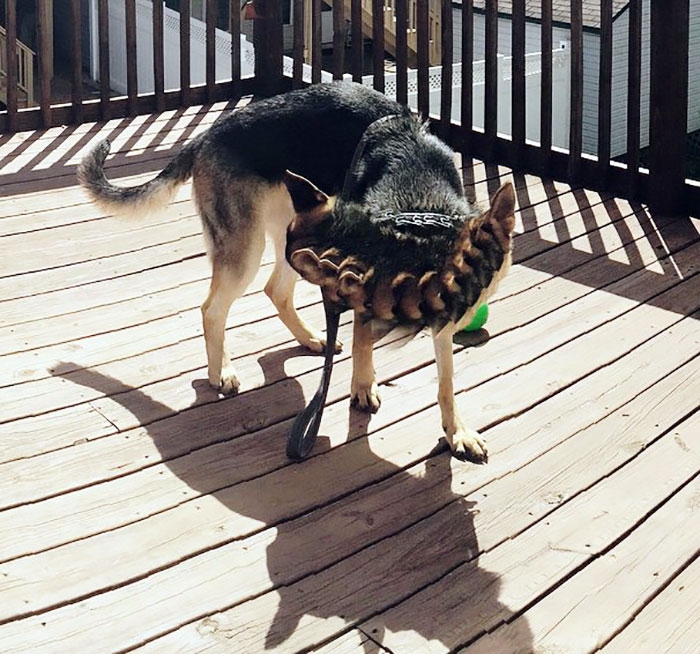 30 ภาพถ่ายในโหมดพาโนรามาที่ผิดพลาด จนทำให้เกิดความฮาอย่างไม่น่าให้อภัย 30 ภาพถ่ายในโหมดพาโนรามาที่ผิดพลาด จนทำให้เกิดความฮาอย่างไม่น่าให้อภัย