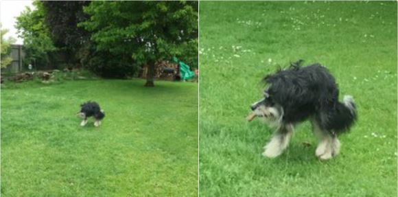 30 ภาพถ่ายในโหมดพาโนรามาที่ผิดพลาด จนทำให้เกิดความฮาอย่างไม่น่าให้อภัย 30 ภาพถ่ายในโหมดพาโนรามาที่ผิดพลาด จนทำให้เกิดความฮาอย่างไม่น่าให้อภัย