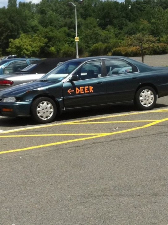 18 ภาพศิลปะสร้างสรรค์สุดเจ๋ง ที่เกิดจากริ้วรอยการชนต่างๆ บนรถยนต์