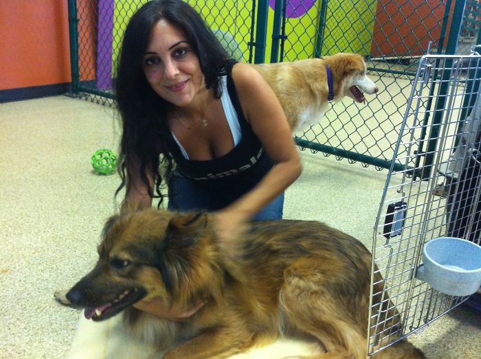 ความรักคือทุกสิ่ง... เปลี่ยนจากสุนัขข้างถนนในสภาพย่ำแย่ ให้กลายเป็นน้องหมาสุดน่ารัก ความรักคือทุกสิ่ง... เปลี่ยนจากสุนัขข้างถนนในสภาพย่ำแย่ ให้กลายเป็นน้องหมาสุดน่ารัก