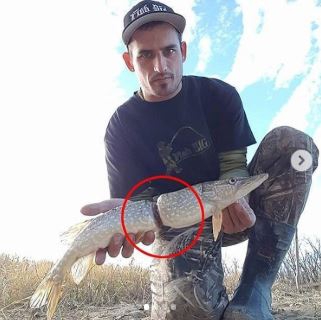 13 ภาพที่แสดงให้เห็นว่า ขยะพลาสติกจากมนุษย์ ทำให้สัตว์ตกอยู่ในอันตราย