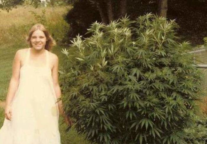 30 ภาพถ่ายที่ยืนยันว่า พ่อแม่ของพวกเราเฟี้ยวฟ้าวขนาดไหน ตอนที่ยังหนุ่มสาว