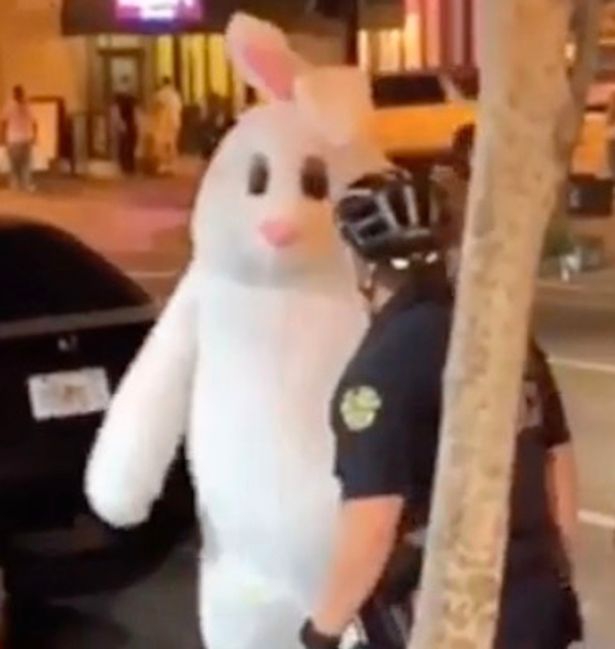 กระต่ายพลเมืองดีสายพันธ์ุฮีโร่ ทนไม่ได้เห็นผู้หญิงโดนทำร้ายร่างกาย จึงเข้าไปตะลุมบอน