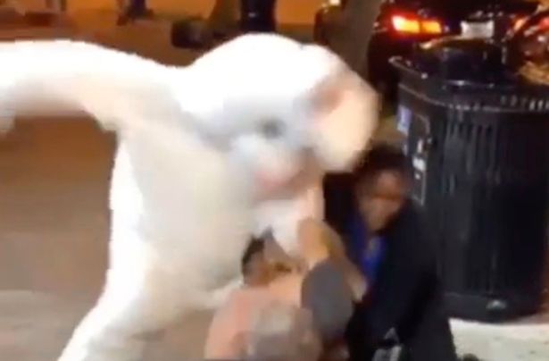 กระต่ายพลเมืองดีสายพันธ์ุฮีโร่ ทนไม่ได้เห็นผู้หญิงโดนทำร้ายร่างกาย จึงเข้าไปตะลุมบอน