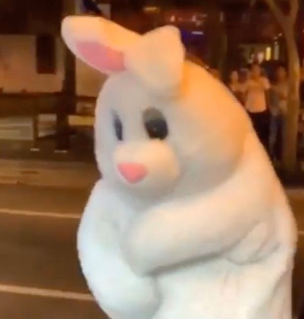 กระต่ายพลเมืองดีสายพันธ์ุฮีโร่ ทนไม่ได้เห็นผู้หญิงโดนทำร้ายร่างกาย จึงเข้าไปตะลุมบอน