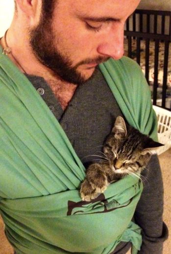 รวม 30 ภาพน่ารักๆ ระหว่างพ่อแมวที่เป็นมนุษย์ และเจ้าลูกน้อยขนยาวของพวกเขา รวม 30 ภาพน่ารักๆ ระหว่างพ่อแมวที่เป็นมนุษย์ และเจ้าลูกน้อยขนยาวของพวกเขา