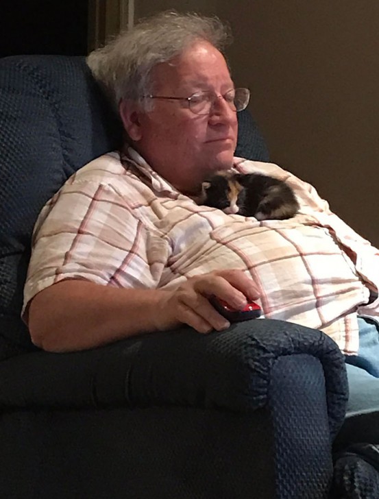 รวม 30 ภาพน่ารักๆ ระหว่างพ่อแมวที่เป็นมนุษย์ และเจ้าลูกน้อยขนยาวของพวกเขา