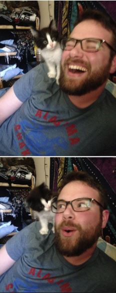 รวม 30 ภาพน่ารักๆ ระหว่างพ่อแมวที่เป็นมนุษย์ และเจ้าลูกน้อยขนยาวของพวกเขา รวม 30 ภาพน่ารักๆ ระหว่างพ่อแมวที่เป็นมนุษย์ และเจ้าลูกน้อยขนยาวของพวกเขา