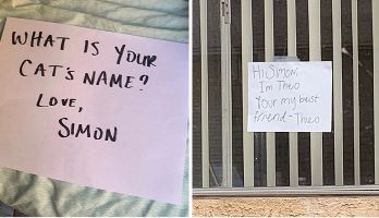 โรแมนติกหนักมาก เรื่องรักแมวๆ ระหว่างแมว 2 ตัว ที่เจอกันผ่านหน้าต่าง สุดท้ายแฮปปี้เอนดิ้ง โรแมนติกหนักมาก เรื่องรักแมวๆ ระหว่างแมว 2 ตัว ที่เจอกันผ่านหน้าต่าง สุดท้ายแฮปปี้เอนดิ้ง