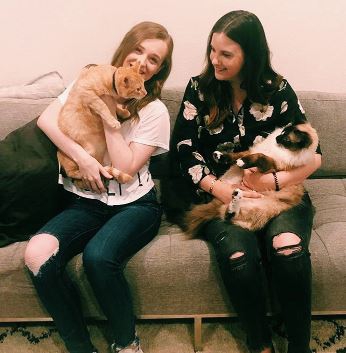 โรแมนติกหนักมาก เรื่องรักแมวๆ ระหว่างแมว 2 ตัว ที่เจอกันผ่านหน้าต่าง สุดท้ายแฮปปี้เอนดิ้ง โรแมนติกหนักมาก เรื่องรักแมวๆ ระหว่างแมว 2 ตัว ที่เจอกันผ่านหน้าต่าง สุดท้ายแฮปปี้เอนดิ้ง