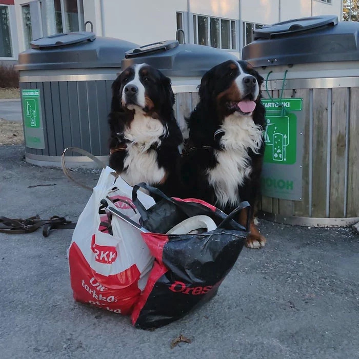 สาวใจกล้า ยืนหยัดในเรื่องการเก็บขยะรีไซเคิล แม้ถูกเหยียดหยาม จนได้ใจผู้คน