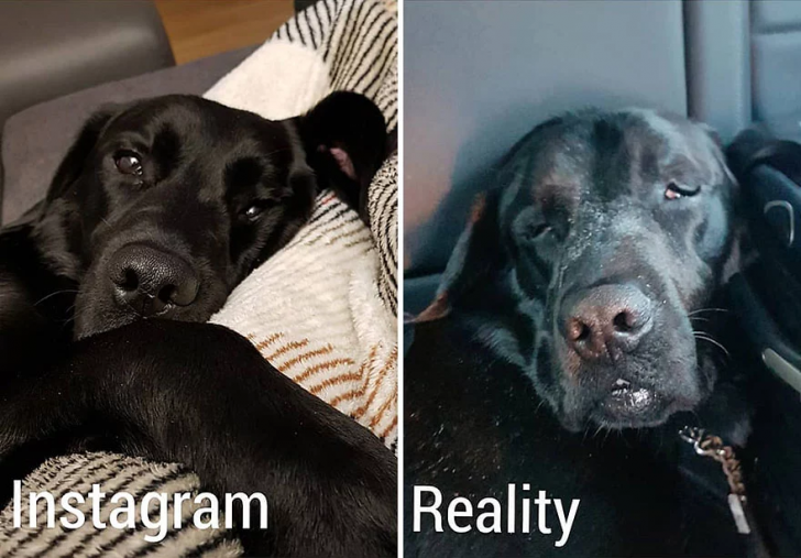 นี่มันอินสตาแกรม หรือมิติคู่ขนาน... กับ 20 ภาพบนโลกออนไลน์ ดูดีกว่าของจริงแบบคนละเรื่อง