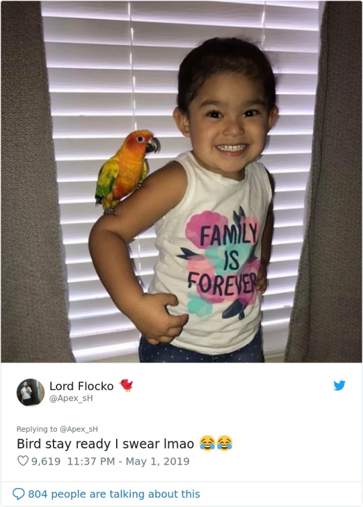 เด็กน้อย สอนให้นกแก้ว โจมตีคนที่เธอกรี๊ดใส่ นี่มันซุปเปอร์ฮีโร่ในชีวิตจริงเหรอ?