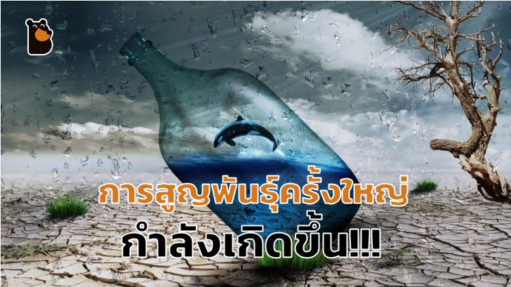 สหประชาชาติชี้ชัด โลกกำลังเข้าสู่ยุคการสูญพันธุ์ครั้งใหญ่!