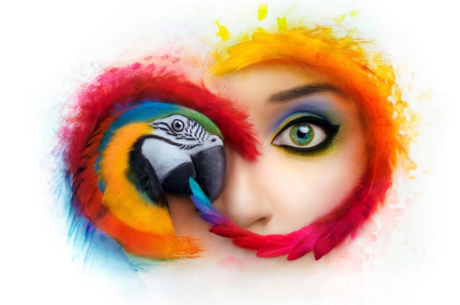 Adobe เตือนผู้ใช้ Creative Cloud การใช้โปรแกรมเวอร์ชันเก่าเสี่ยงต่อการถูกฟ้องลิขสิทธิ์ Adobe เตือนผู้ใช้ Creative Cloud การใช้โปรแกรมเวอร์ชันเก่าเสี่ยงต่อการถูกฟ้องลิขสิทธิ์