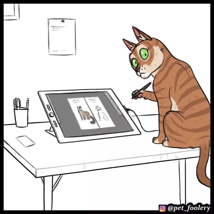 ทาสแมวต้องปลื้ม กับ 4 เหตุผลที่ว่าทำไมเราควรเลี้ยงน้องแมว มากกว่าน้องหมา