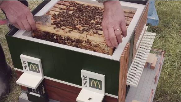 ร้าน McDonalds สาขาเล็กจิ๋วในประเทศสวีเดน แต่สำหรับน้องผึ้งเท่านั้นนะ