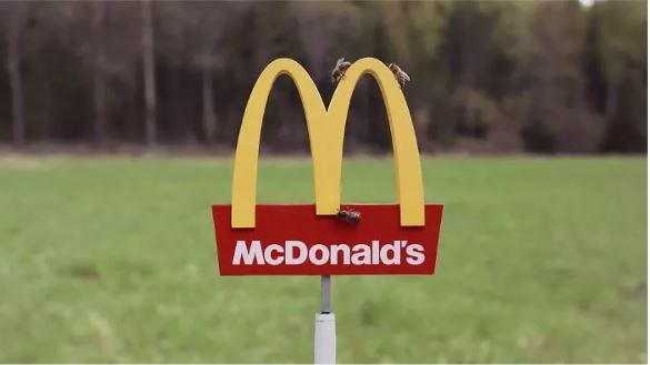 ร้าน McDonalds สาขาเล็กจิ๋วในประเทศสวีเดน แต่สำหรับน้องผึ้งเท่านั้นนะ