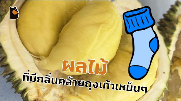 เสียหาย เมื่อทุเรียนกลิ่นแรงจนฝรั่งนึกว่าแก๊สรั่ว แถมวิจารณ์กลิ่นเหมือนถุงเท้า