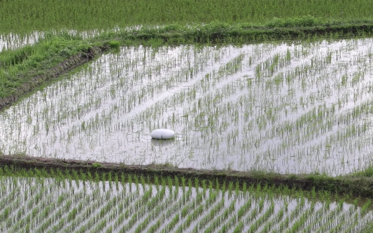 หุ่นยนต์ดูดฝุ่นในบ้านหลบไป หุ่นเป็ด ดูแลนา มาแล้ว!