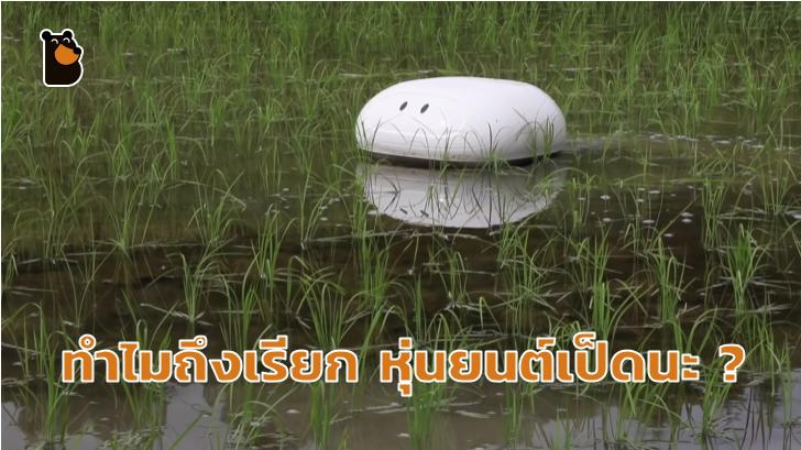 หุ่นยนต์ดูดฝุ่นในบ้านหลบไป หุ่นเป็ด ดูแลนา มาแล้ว!